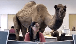 HumpDay: Whut, whut!!!