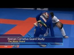 What is the Worm guard? What’s next Giraffe&nbsp;guard?